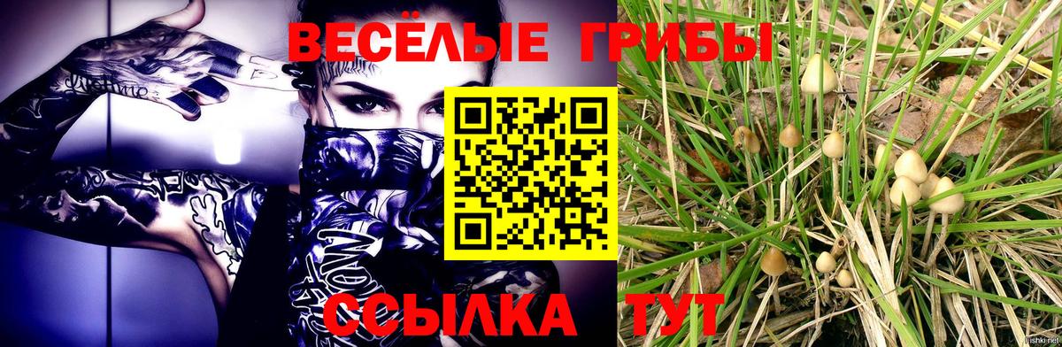 Балашов  Псилоцибиновые грибы GOLDEN TEACHER  Вход с VPN 